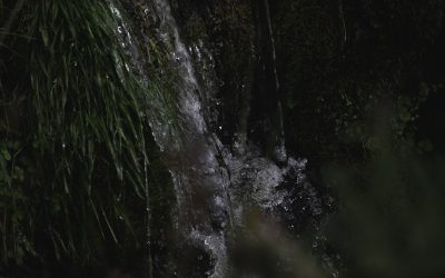 Turismo Sustentável: Viaje Consciente!