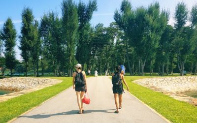 Viagem Sustentável: Descubra Portugal e Brasil