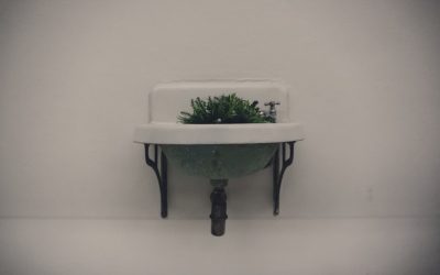 10 Métodos Científicos para Aumentar a Sua Concentração