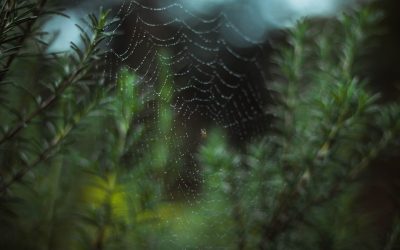 10 Métodos Científicos para Aumentar a Sua Concentração em 2025