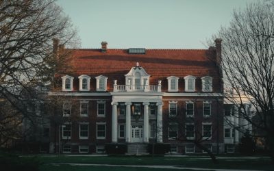 5 Coisas que os Humanos Devem Fazer na Era da IA