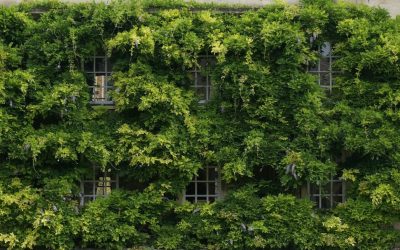 5 Passos Essenciais para Reduzir o Consumo Desnecessário e Viver Melhor