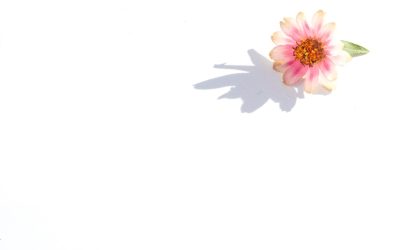 7 Características Essenciais de Pessoas Emocionalmente Maduras