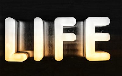 A Simplicidade como Caminho para a Felicidade: Menos é Mais em 2025