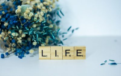 A Simplicidade Leva à Felicidade: Por Que Menos é Mais na Vida Moderna