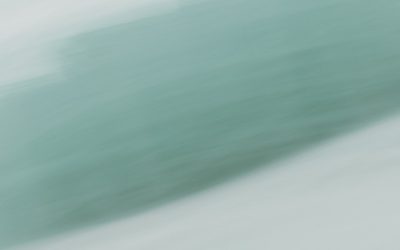 Descubra os Superalimentos Mais Populares do Mundo em 2025 para uma Vida Mais Saudável!