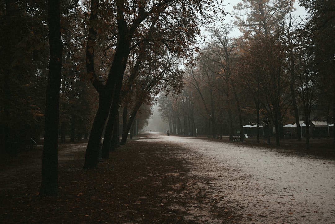 desvendando-o-futuro-metaverso-blockchain-e-rob-tica-em-2025-1759472524403