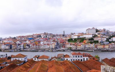 Desvende os Segredos: Como Apreciar Café e Chá na Perfeição em 2025