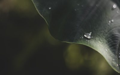 Dominando a Arte de Definir Metas Eficazes para 2025 (e Além!)