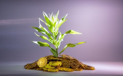 Estratégia de Investimento em ETFs a Longo Prazo com Apenas 100 Dólares por Mês