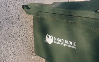 Guia para Começar uma Vida Lixo Zero em Portugal: Tendências e Dicas para 2025