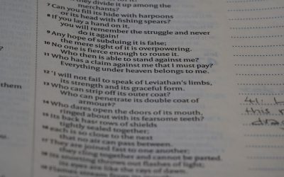 O Desafio de Dominar o Inglês com Apenas 1 Hora por Dia: É Possível?