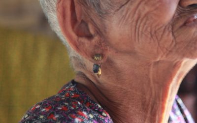 Os Segredos da Longevidade: Hábitos das Pessoas Mais Saudáveis do Mundo