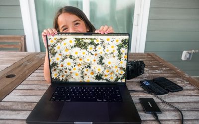 SEO para Bloggers: Domine o Google em 2025 e Além!