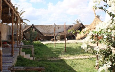 7 Hábitos Matinais para Transformar a Sua Vida