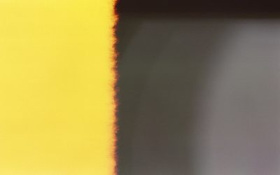 A Fascinante Cultura dos Tipos Sanguíneos e a Personalidade: Mitos e Realidades