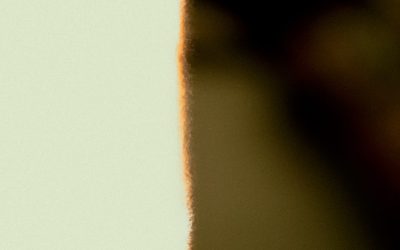 Compatibilidade Astrológica: Desvendando as Conexões entre os Signos do Zodíaco em 2025