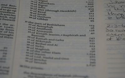 Dominando o Bull Call Spread: Uma Estratégia de Opções para Mercados em Alta