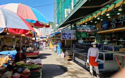 Estratégia de Opções de Compra Cobertas: Gerando Rendimento no Mercado de Derivados em 2025