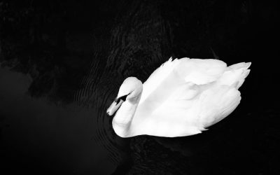 Meditação: A Ponte para a Cura Simultânea do Corpo e da Mente