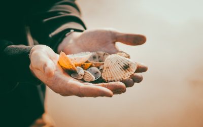 Transforme Sua Paixão em Lucro: O Guia Definitivo para um Blog Rentável com WordPress em 2025