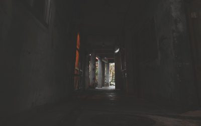 A Fascinante Persistência das Teorias de Personalidade por Tipo Sanguíneo: Mito ou Realidade?