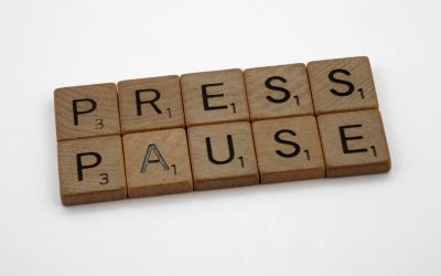 Blog Rentável e WordPress em 2025: O Guia Definitivo para o Sucesso Digital