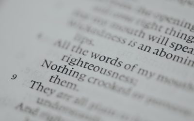 Desvende o Potencial: Como Criar um Blog Rentável com WordPress em 2025