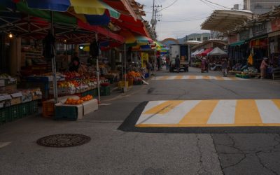 Dominando a Venda de Opções: Uma Estratégia Poderosa para Gerar Rendimento no Mercado de Derivados