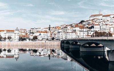 Domine o Google em 2025: O Guia Definitivo para Posicionar seu Blog no Topo!