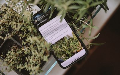 Transforme Sua Paixão em Lucro: O Guia Definitivo para Blogs Lucrativos com WordPress em 2025