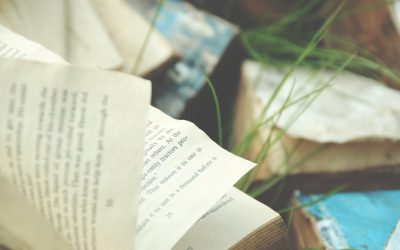 MBTI e Compatibilidade: Desvendando os Segredos dos Relacionamentos Duradouros em 2026