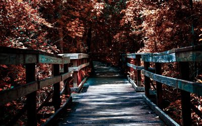 Scalping no Forex: A Estratégia de Alta Velocidade para Lucros Rápidos em 2026