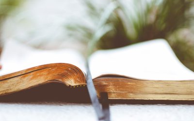 Descubra o Swing Trading: Uma Estratégia Poderosa para Lucrar no Mercado de Ações!