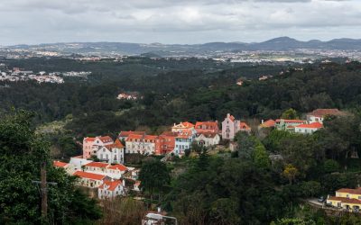 Domine o Google em 2026: O Guia Essencial para o Sucesso do Seu Blog em Portugal