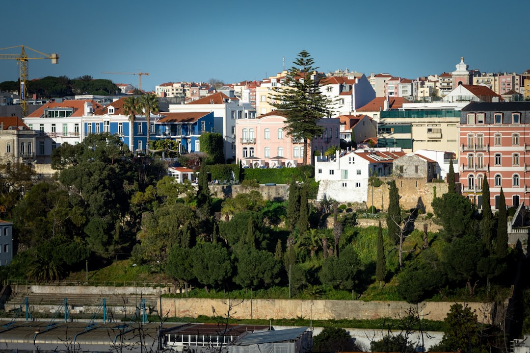 como-alcan-ar-o-topo-do-google-em-2026-um-guia-essencial-para-o-seu-blog-1772745705376