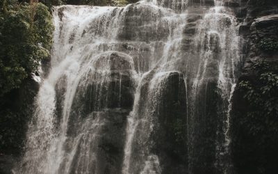 Desvendando a Compatibilidade Astrológica: Guia Completo para 2026