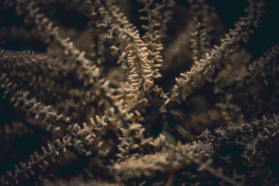 desvende-a-venda-coberta-uma-estrat-gia-inteligente-para-gerar-renda-com-suas-a-es-1773620520567