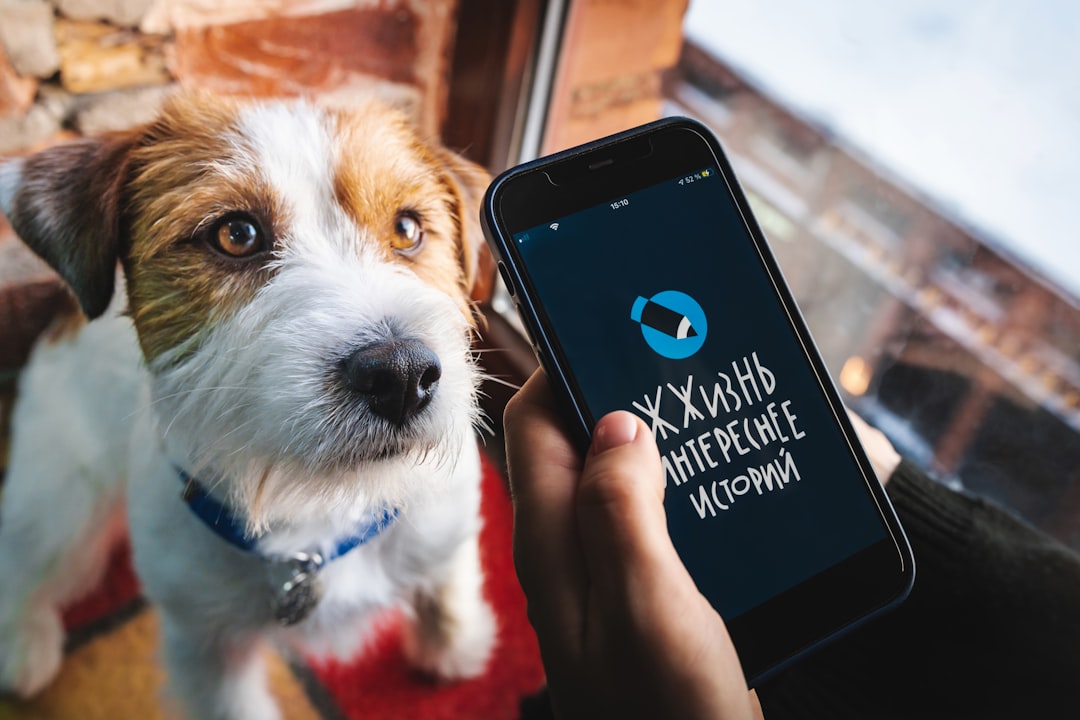 desvende-o-adsense-guia-completo-para-monetizar-seu-blog-em-2026-e-al-m-1774246912905