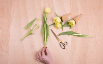 Desvendando a Sinastria Amorosa: O Guia Completo para a Compatibilidade Astrológica em 2026