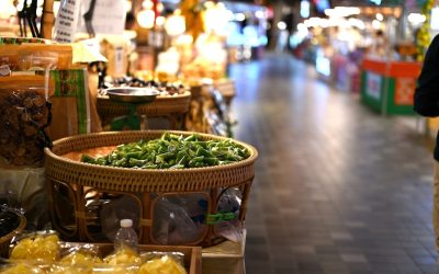 Descobrindo o Mundo Através do Paladar: Tendências e Dicas de Viagem Gastronômica em 2026