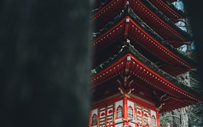 Decifrando a Personalidade Pelo Tipo Sanguíneo: Mito ou Realidade Cultural?