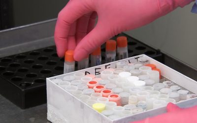 A Verdade e o Mito: Desvendando a Compatibilidade Sanguínea nas Relações Humanas