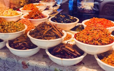 Descobrindo o Mundo Através do Paladar: Os Destinos Gastronômicos Mais Quentes de 2026-2027 e Dicas Essenciais!