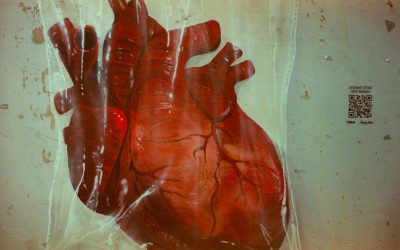 Desvendando os Mistérios do Sangue: Compatibilidade, Mitos e o Futuro!