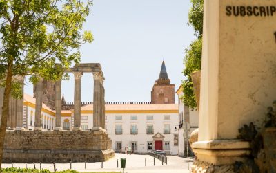 Torne-se um Influenciador Digital em Portugal: O Guia Completo para 2026