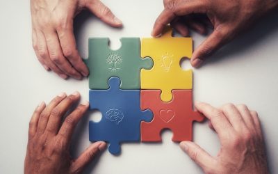 A Importância Crucial dos Grupos Sanguíneos em Transfusões e Transplantes: Além da Simples Compatibilidade