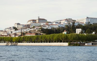 Inteligência Artificial em Portugal: O Futuro do Trabalho Já Chegou! 🤖